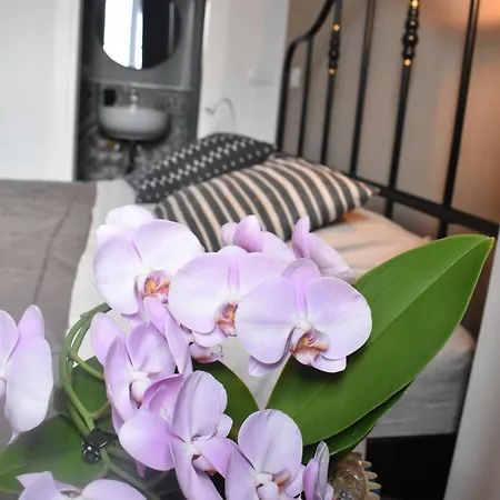 Trastevere St Ariabianca House アパート *