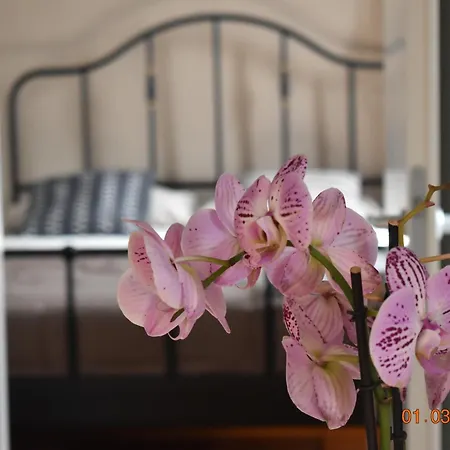 Appartement Trastevere St Ariabianca House
